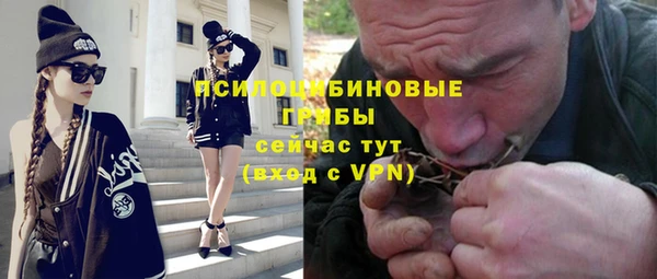 марки lsd Дубна