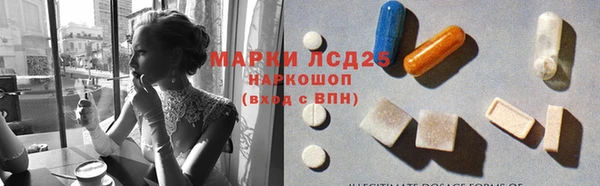 таблы Новозыбков