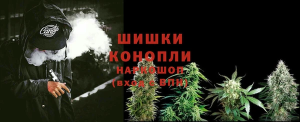 ГАЛЛЮЦИНОГЕННЫЕ ГРИБЫ Новодвинск
