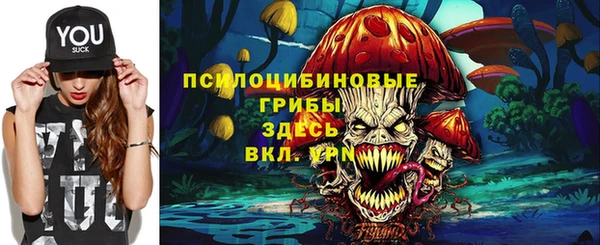 ГАЛЛЮЦИНОГЕННЫЕ ГРИБЫ Новодвинск