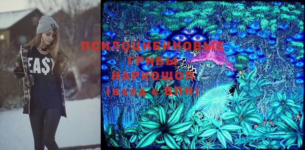 ГАЛЛЮЦИНОГЕННЫЕ ГРИБЫ Новодвинск