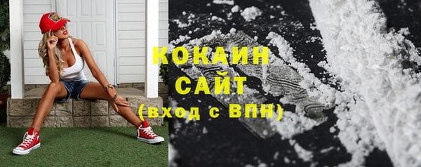 ГАЛЛЮЦИНОГЕННЫЕ ГРИБЫ Новодвинск