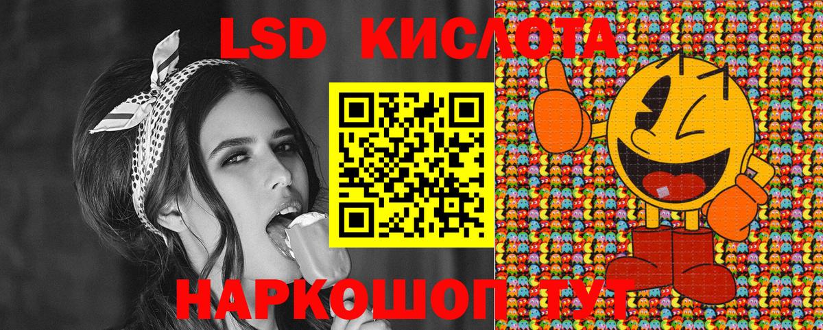 Псилоцибиновые грибы Канск