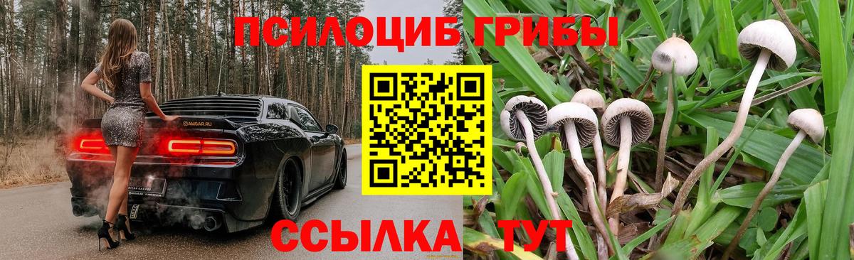 Псилоцибиновые грибы мицелий Канск